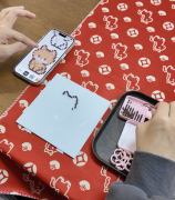 “像这个是要做成开关装饰的